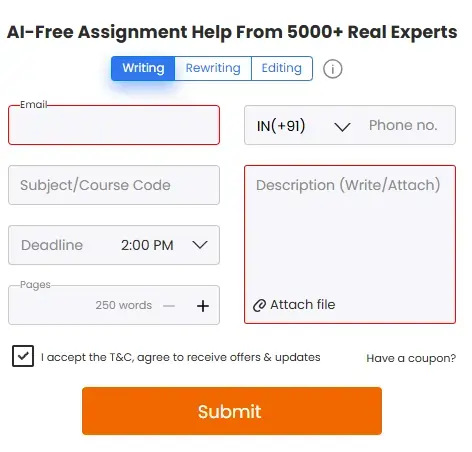 It Assignment Help